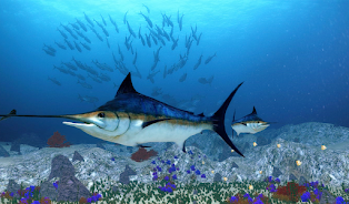 The Blue Marlin Screenshot 1