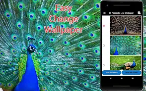 Peacock Live Wallpapers Screenshot 1