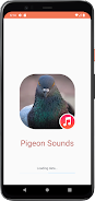 Pigeon Sounds Screenshot 1