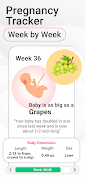Pregnancy Tracker Week by Week Screenshot 2