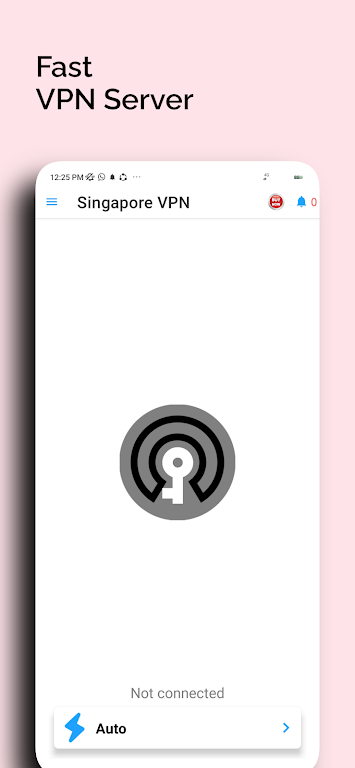 Singapore Vpn - The Gaming VPN Screenshot 3