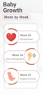Pregnancy Tracker Week by Week Screenshot 5