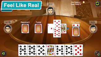 29 Card Game Screenshot 4