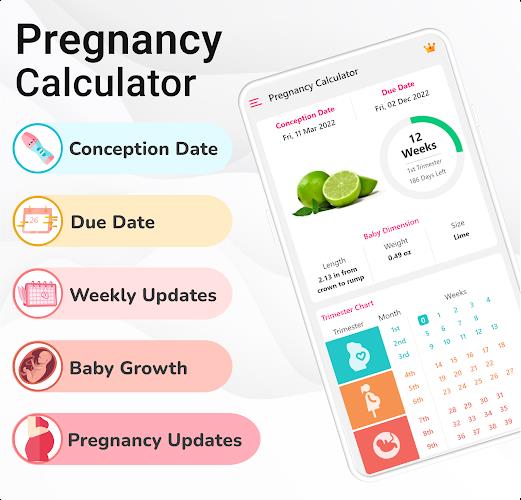 Pregnancy Calculator: Due Date Screenshot 1
