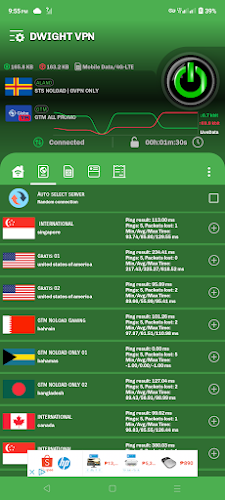 DWIGHT VPN Screenshot 1