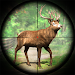 Jungle Deer Hunting Simulator APK
