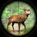 Jungle Deer Hunting Simulator Topic