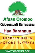 Afaan Oromoo Writing Practice Screenshot 6