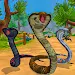 Snake Survive Jungle simulator Topic