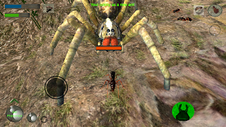 Ant Simulation 3D - Insect Sur Screenshot 7