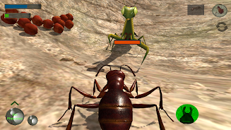 Ant Simulation 3D - Insect Sur Screenshot 8