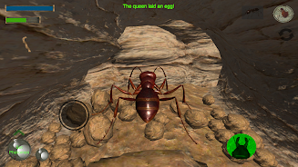 Ant Simulation 3D - Insect Sur Screenshot 6