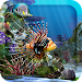 3D Aquarium Live Wallpaper HD Topic