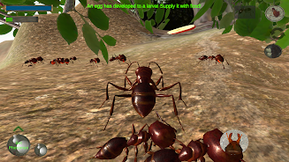 Ant Simulation 3D - Insect Sur Screenshot 2