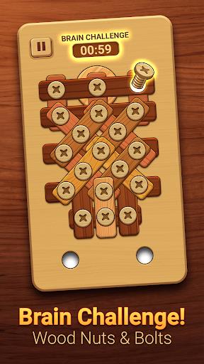 Wood Puzzle: Nuts And Bolts Screenshot 3