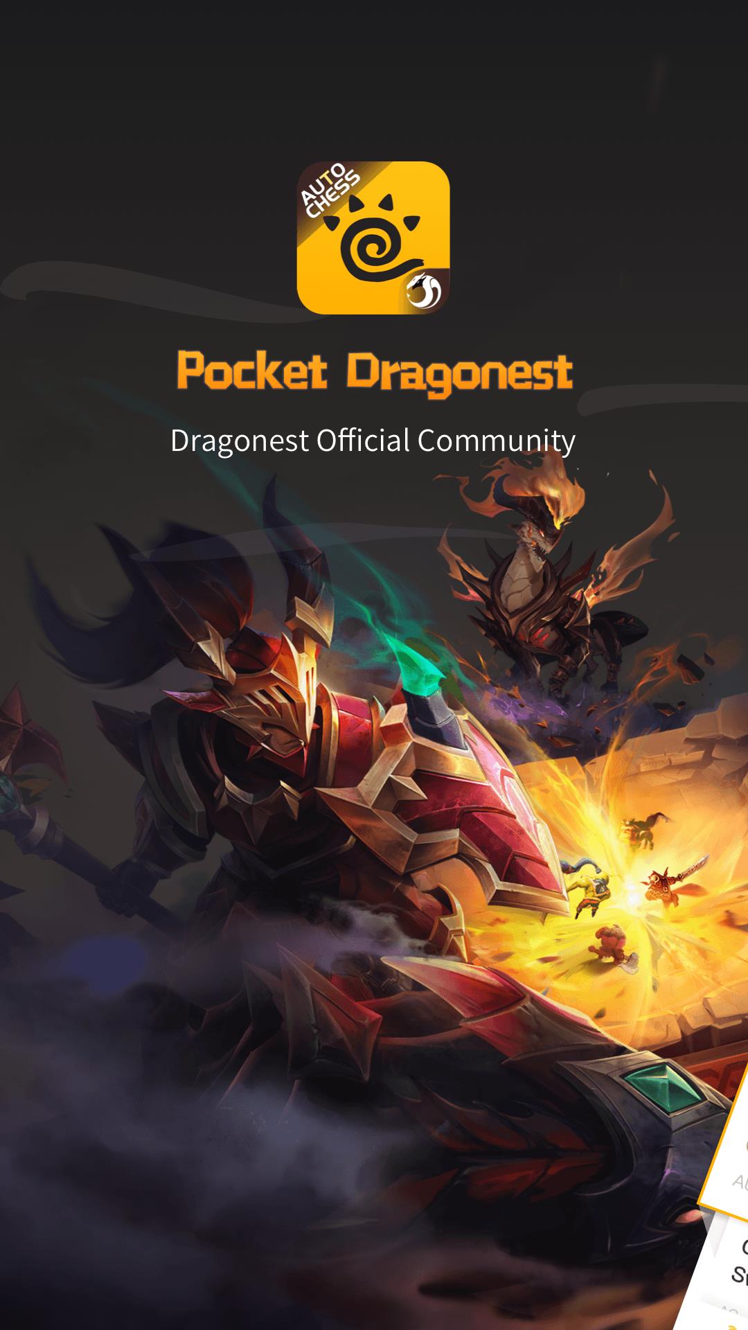 Pocket Dragonest Screenshot 1