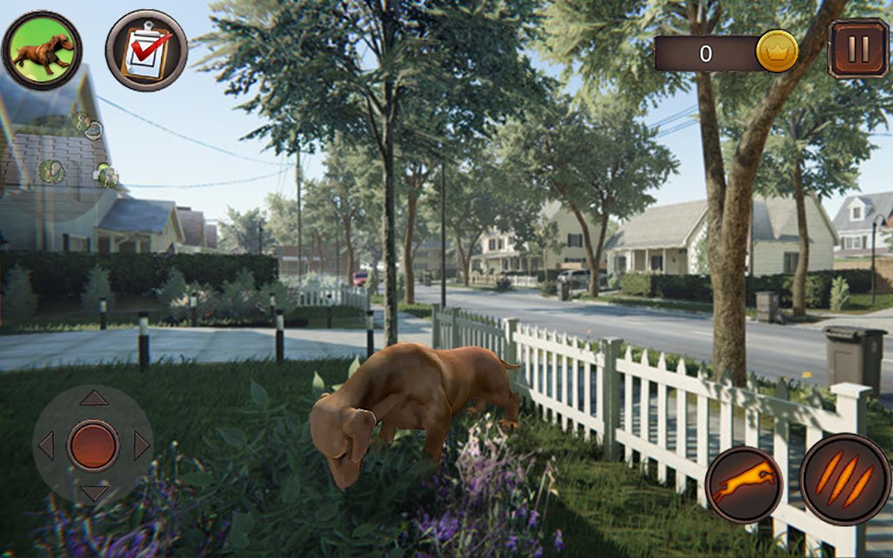 Dachshund Dog Simulator Screenshot 21