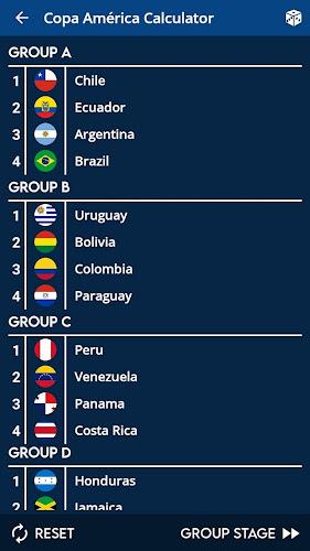 Copa América Calculator Screenshot 8