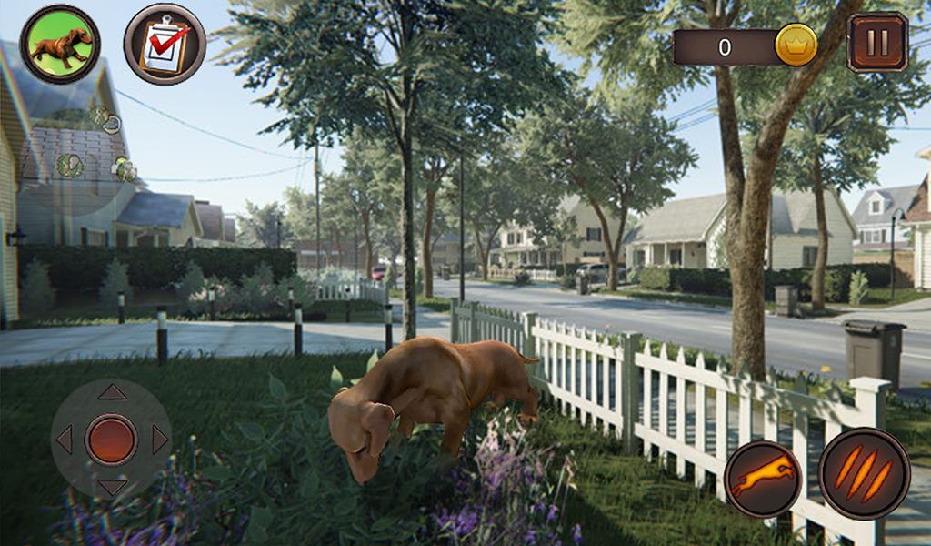 Dachshund Dog Simulator Screenshot 14