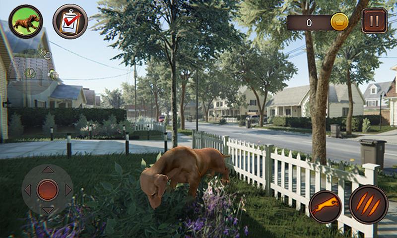 Dachshund Dog Simulator Screenshot 7