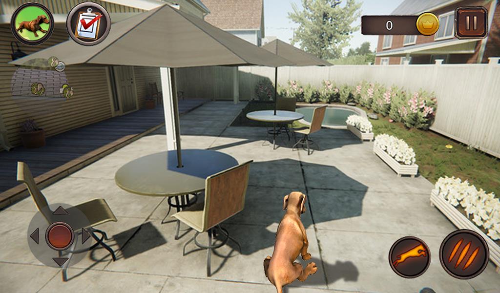 Dachshund Dog Simulator Screenshot 15