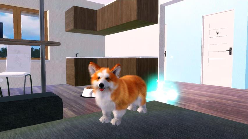 Corgi Dog Simulator Screenshot 1