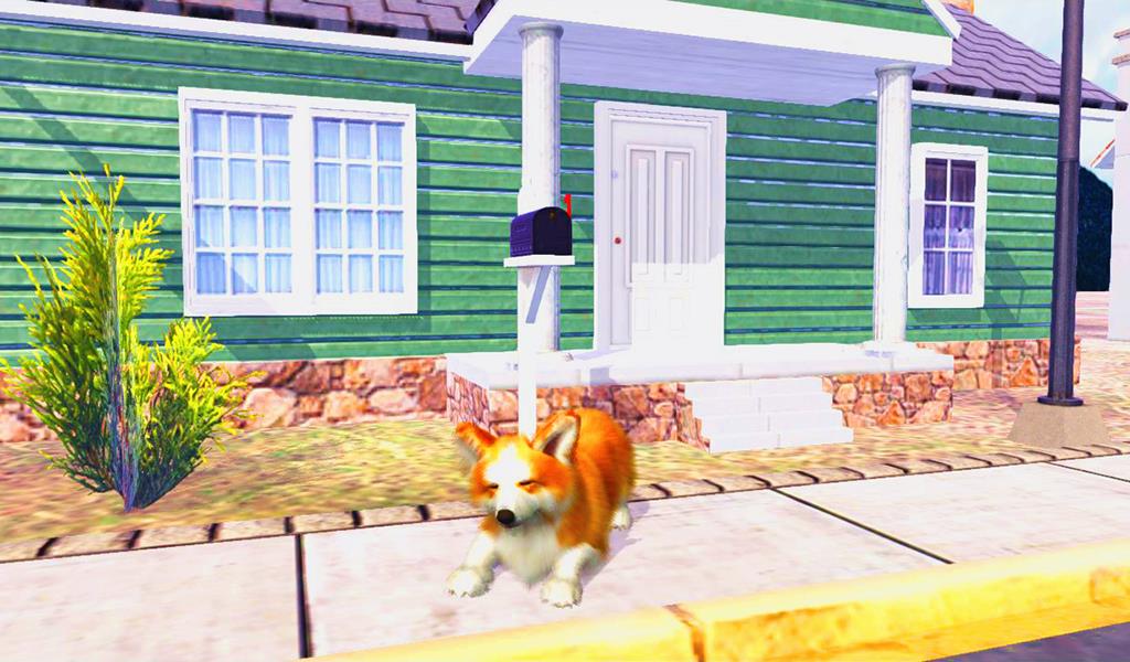 Corgi Dog Simulator Screenshot 13