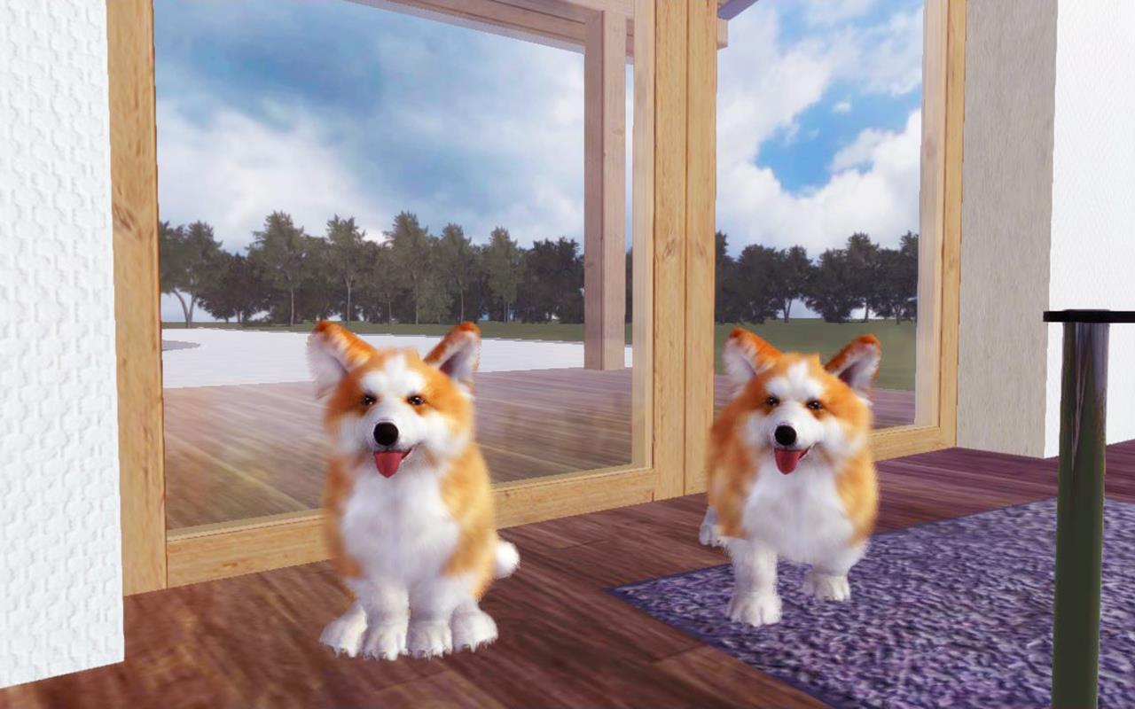 Corgi Dog Simulator Screenshot 24