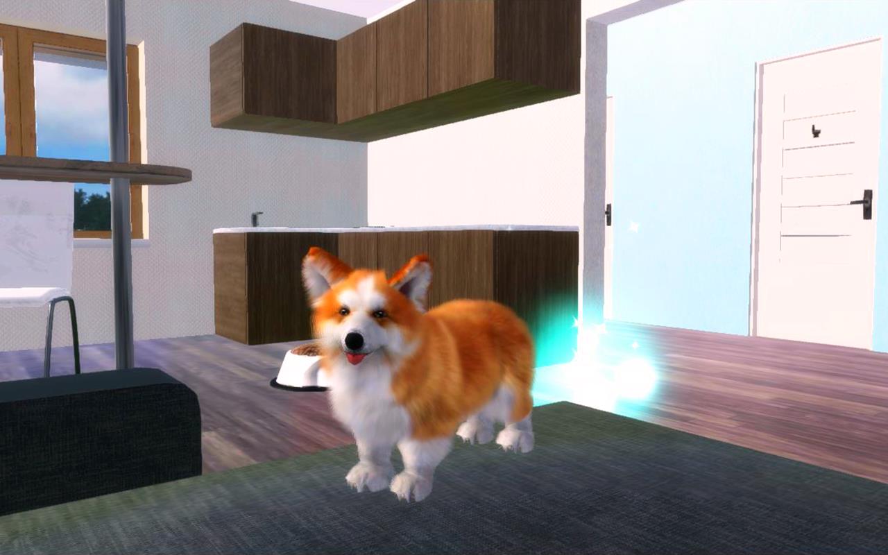 Corgi Dog Simulator Screenshot 17