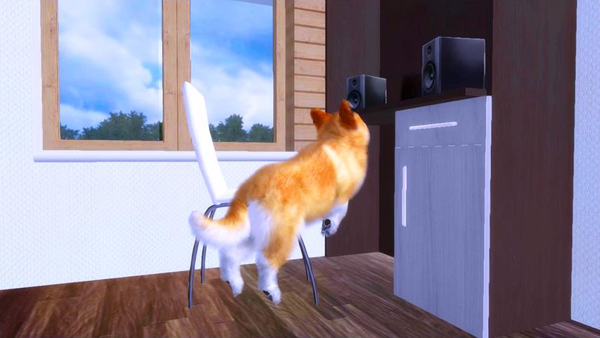 Corgi Dog Simulator Screenshot 7
