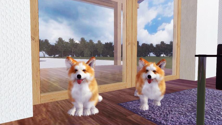 Corgi Dog Simulator Screenshot 8