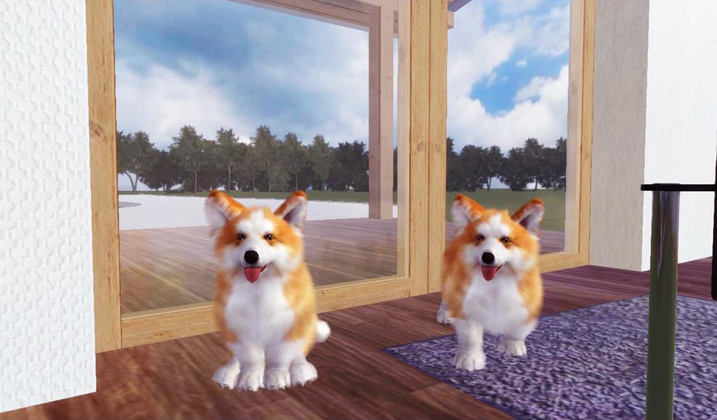 Corgi Dog Simulator Screenshot 16