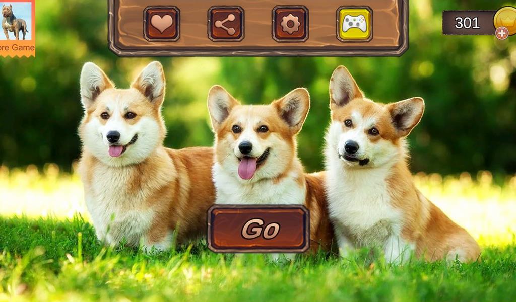 Corgi Dog Simulator Screenshot 10