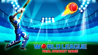 World Real IPL Cricket Games Screenshot 9