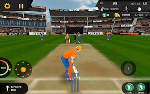 Cricket Unlimited 2017 Screenshot 3