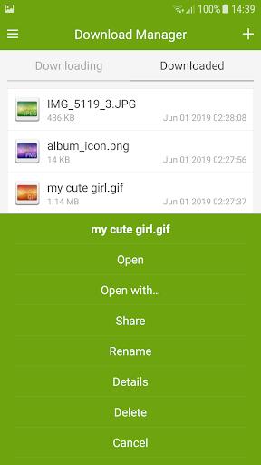 Download Manager For Android Screenshot 14