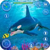 Orca Killer Whale Simulator Topic