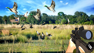 Duck Hunting Challenge Screenshot 2