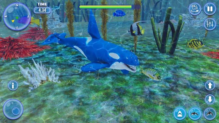 Orca Killer Whale Simulator Screenshot 2