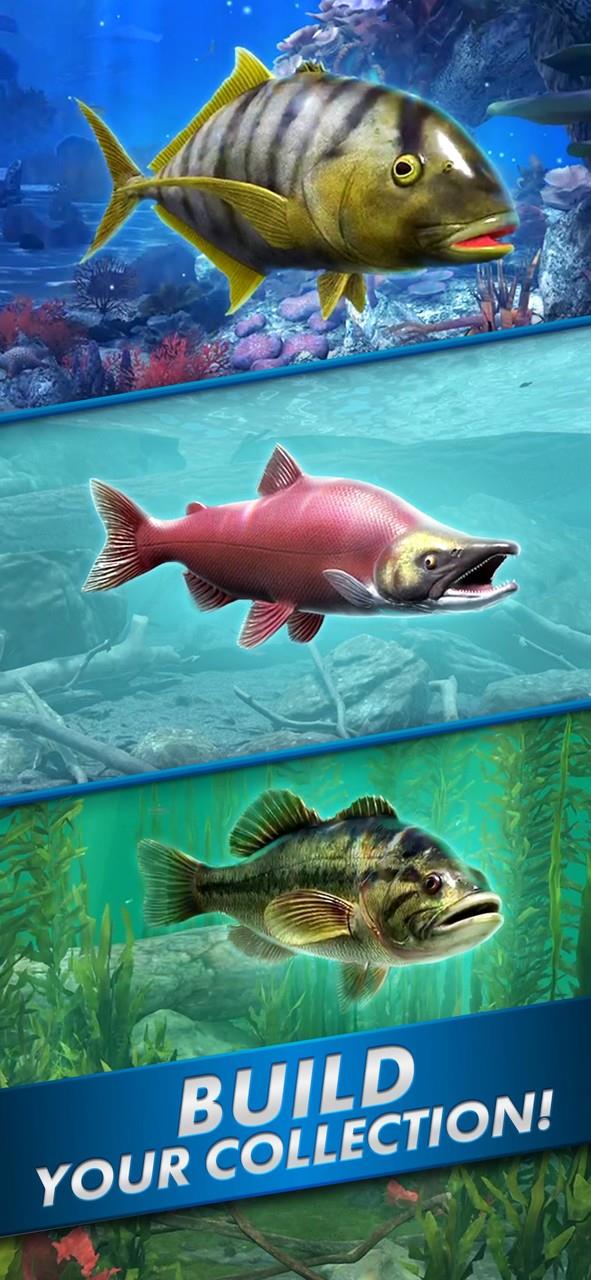 Ultimate Fishing! Fish Game Screenshot 3