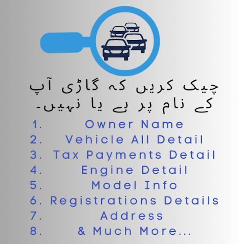 Vehicle Verification Pakistan Screenshot 1