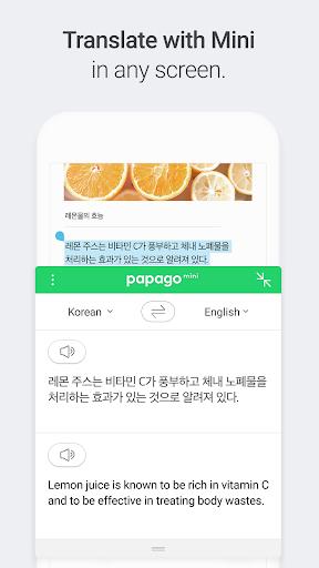Naver Papago - AI Translator Screenshot 10