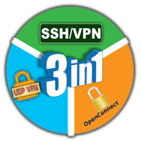 3in1 ViP VPN Topic