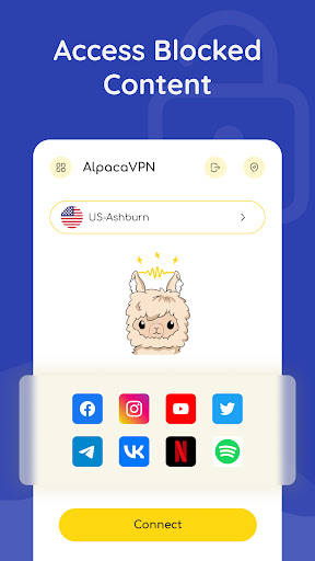 Alpaca VPN proxy master Screenshot 3