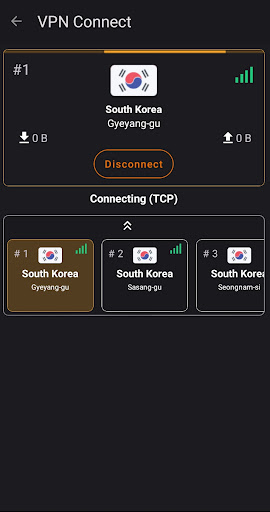 VPN Connect Screenshot 4