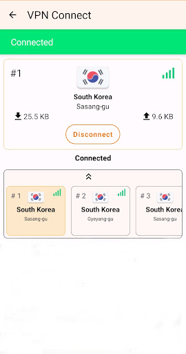 VPN Connect Screenshot 2