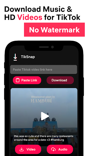 TikSnap: Downloader for TikTok Screenshot 1