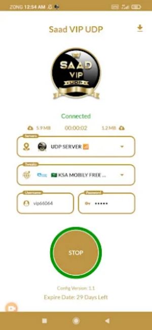 SAAD VIP UDP - Fast, Safe VPN Screenshot 2
