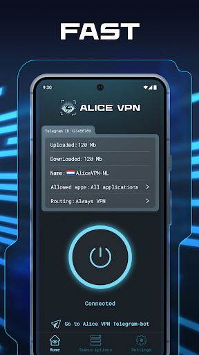 Alice VPN Screenshot 1