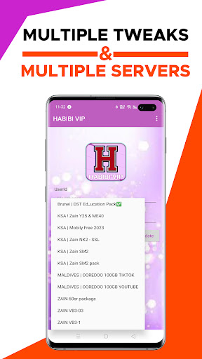 HABIBI VPN Screenshot 2
